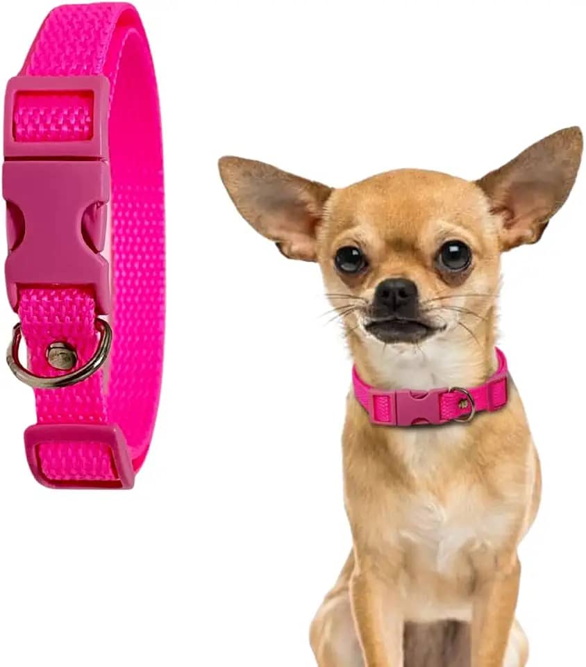 Coleira para Cachorro com Regulagem e Ajustável (ROSA, P)