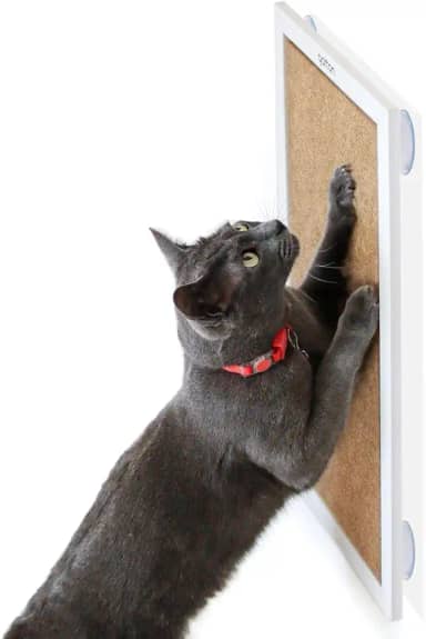 Arranhador com Ventosas para Gatos, Arranhador com Catnip Gatton, Slim RonRock Plug Branco