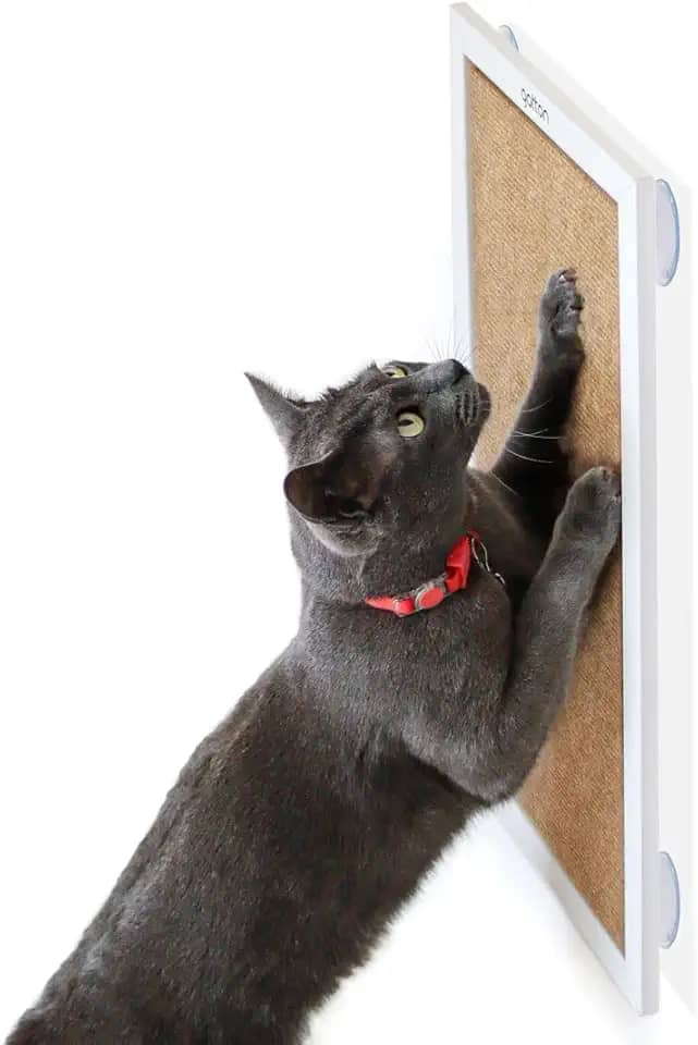 Arranhador com Ventosas para Gatos, Arranhador com Catnip Gatton, Slim RonRock Plug Branco