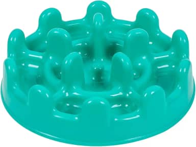 Pet Games Comedouro Lento Funcional Mini Pet Fit Verde Agua Para Cães