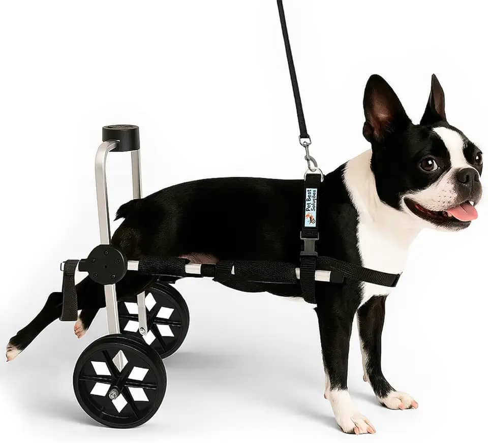 Cadeira de Rodas Para Cachorro Tamanho M Médio Anti Tombamento Pet Best Soluções