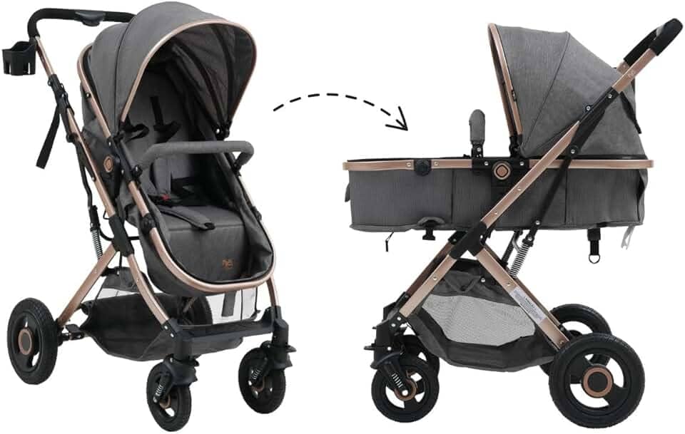 Carrinho Passeio Bebê Moisés Reversível Elysian Maxi Baby (Cinza)