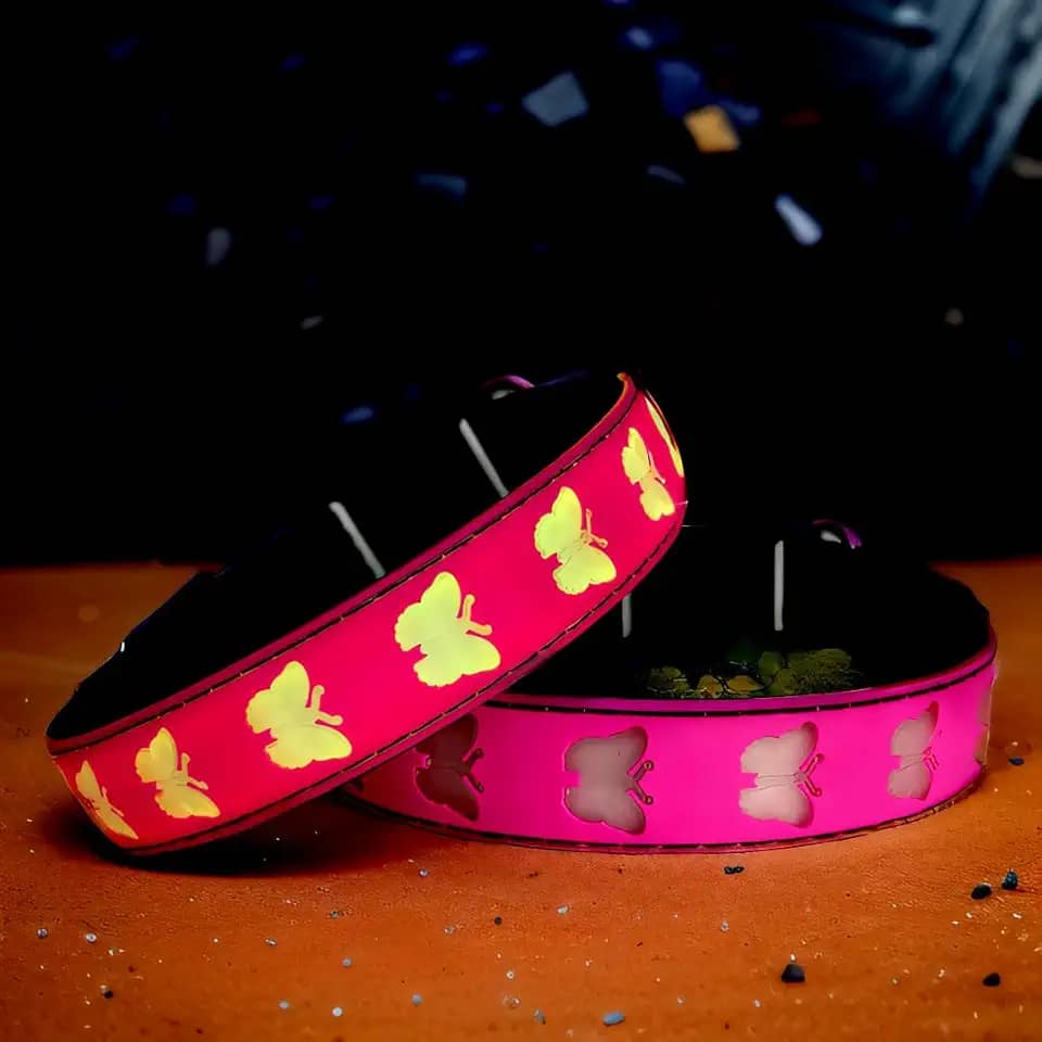 DOGLED Coleira de cachorro com luz de LED USB-C, design 3D confortável e macio, iluminação multicolorida, coleira noturna para cães (BT-PING, PP (20 a 30 cm)