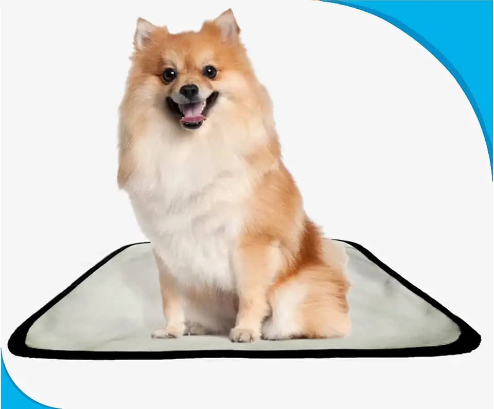 Fralda móvel pet para cachorros lavável 3un P 50x60 cm