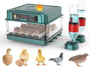 APlayfulBee Incubadora Automática de Ovos 12-38 Ovos Máquina de Chocadeira Digital para Aves com Viragem Automática de Ovos, Controle de Temperatura E Umidade, Iluminação Led Eficiente para Galinhas,