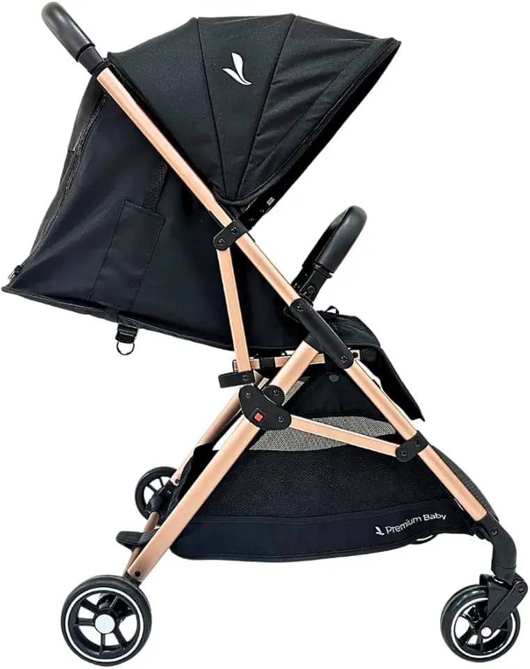 Carrinho Premiu Baby Zurich Preto Rose Couro Preto