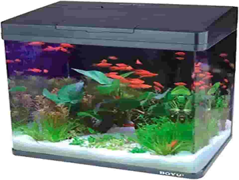 Boyu - Aquário Curvo Ms-520 45L Preto 220v
