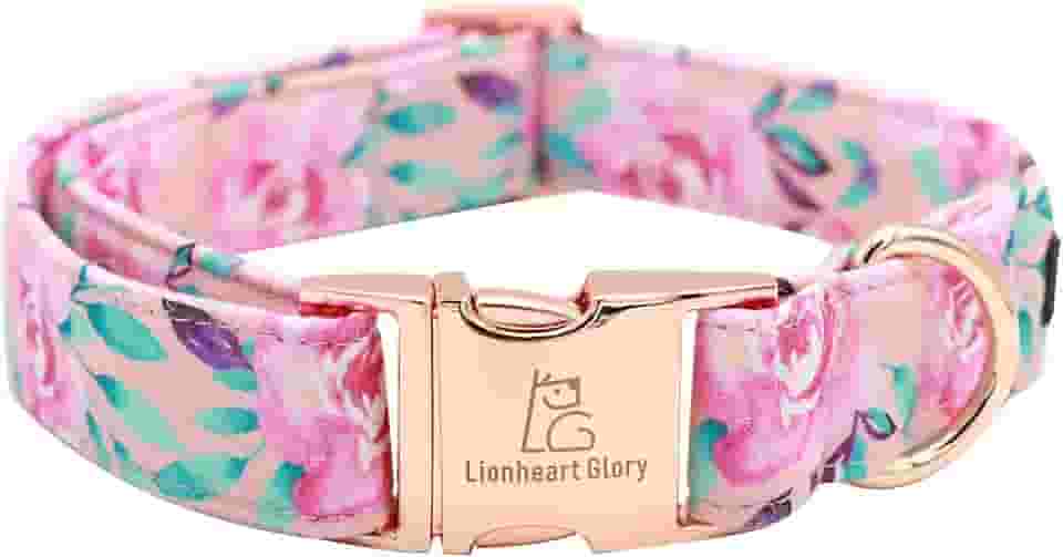 Lionheart glory Coleira de cachorro com estampa de rosa floral coleiras de cachorro fofas coleira de cachorro macia ajustável para meninas coleiras para cães PP, pequenos, médios e grandes