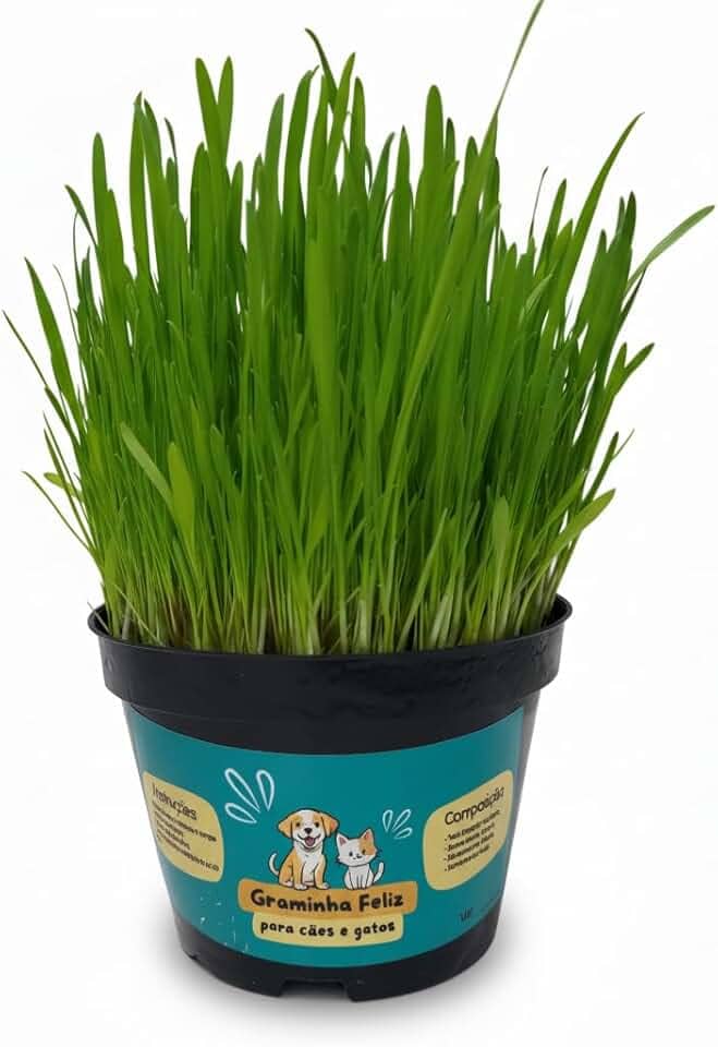 Graminha para Gatos e Cachorros – Saúde Intestinal e Redução de Bolas de Pelo | Kit Completo com Vaso e Sementes