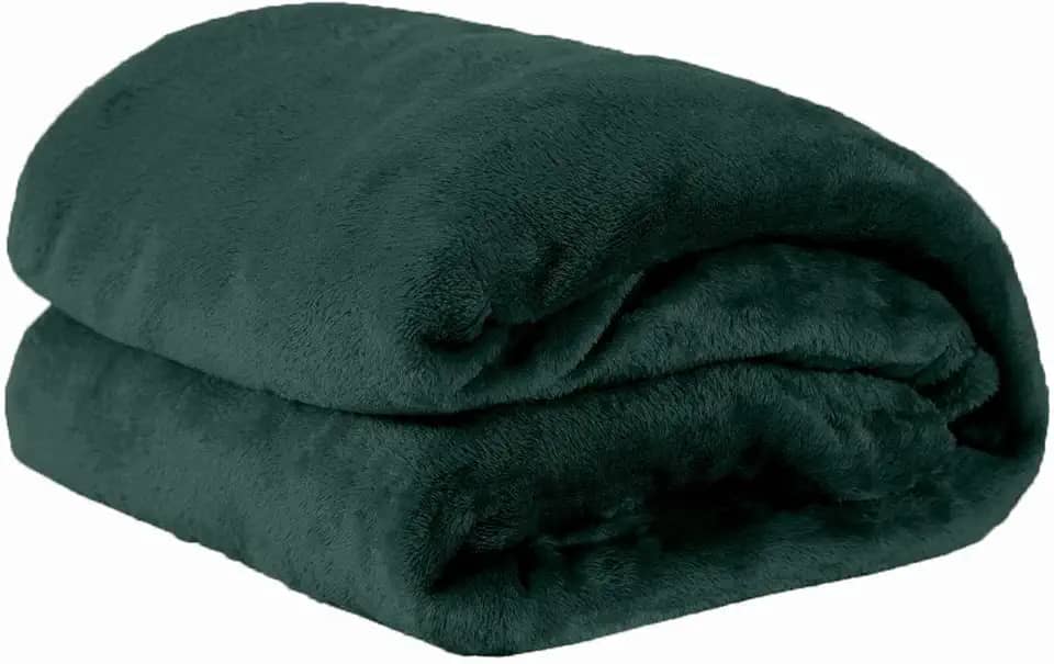 Cobertor Manta Microfibra Solteiro 01 Peça (Toque Aveludado) - Verde