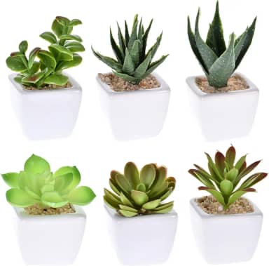 Kit 6 Suculentas Artificiais Decorativas Sortidas Decoração