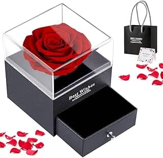 Rosa Eterna, Rosa Real Preservada, Caixa de Presente de Joias Flor de Rosa, Excluindo Joias, Rosa Imortal, Lindo Conjunto de Rosas Preservadas, Dia dos Namorados Presentes Feminino