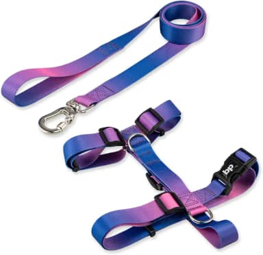 Basic Pet Coleira Peitoral Com Guia Para Cachorro Cães Modelo Tradicional H Tamanho Porte Grande Médio Pequeno (G, Lily)