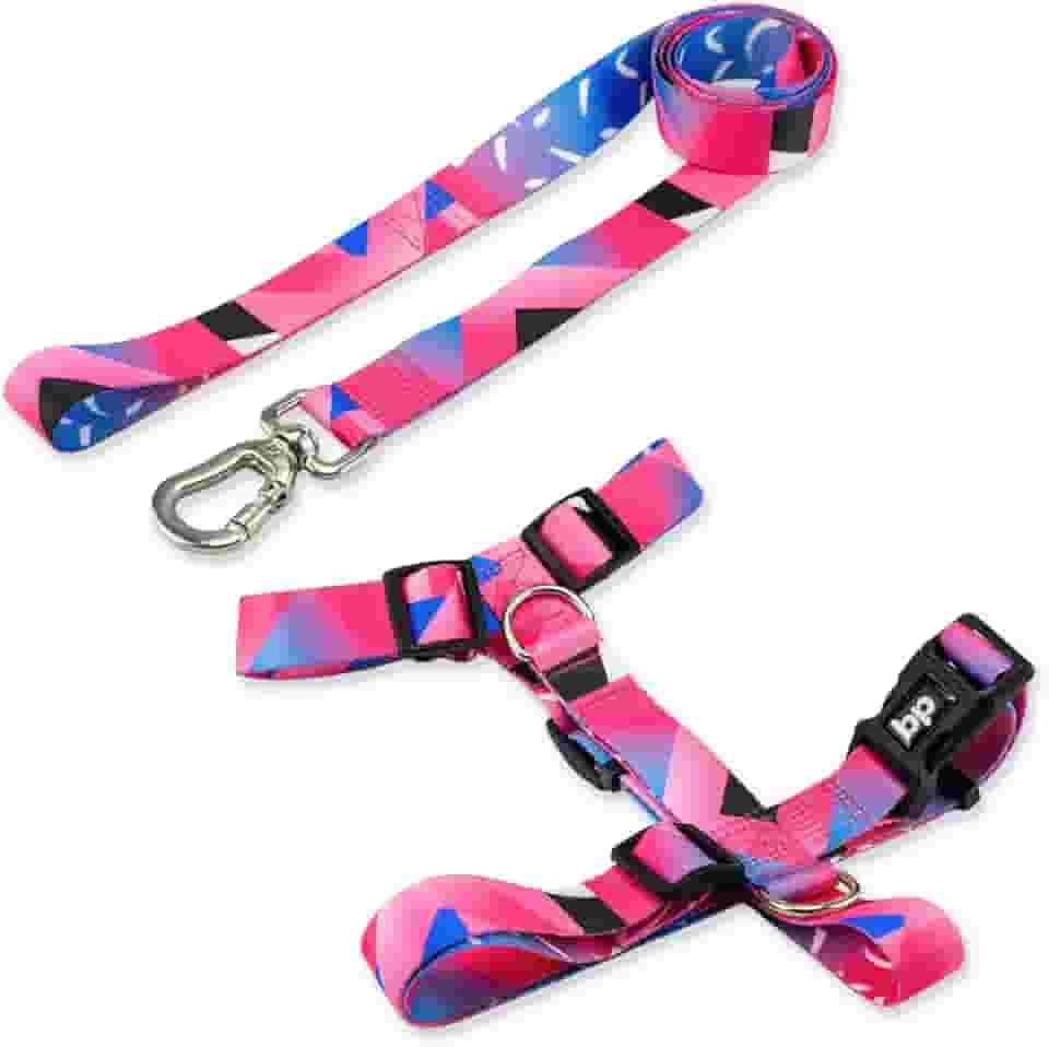 Basic Pet Coleira Peitoral Com Guia Para Cachorro Cães Modelo Tradicional H Tamanho Porte Grande Médio Pequeno (G, Lawn)