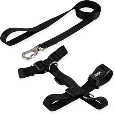 Basic Pet Coleira Peitoral Com Guia Para Cachorro Cães Modelo Tradicional H Cor Preto Tamanho Médio