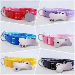 Coleira Para Cães Com Plaquinha de Identificação Personalizada (Azul Pontilhada-G (Plaquinha Ossinho))