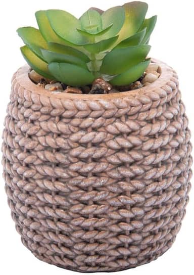 WOLFF Cachepot de Cerâmica com Suculenta Sisal 7,5cm x 7,5cm X 10,5cm