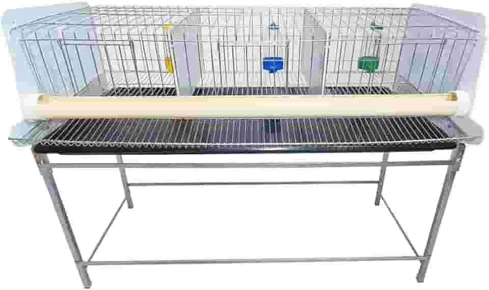 Gaiola Codorna Codornão gaia com base