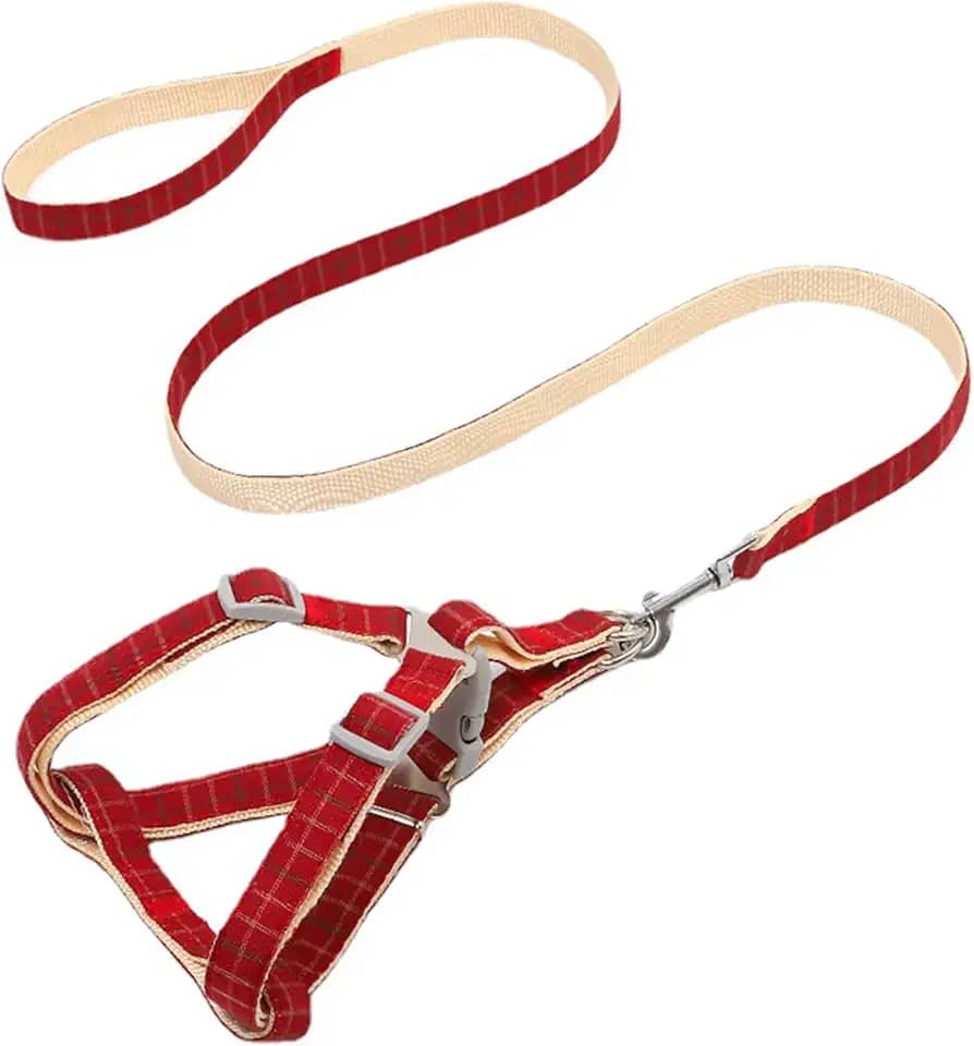 Coleira para cães com amortecedor de choque macia de dois tons