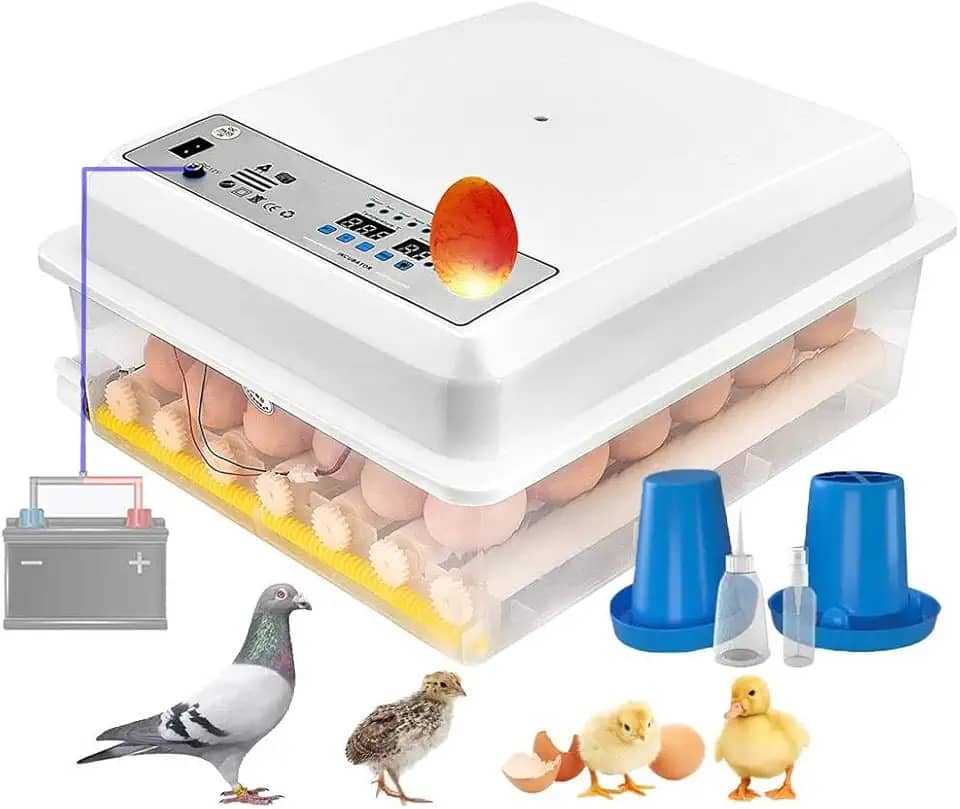 Chocadeira Incubadora 36 Ovos Automática com Virador, Controle de Temperatura e Umidade, Alimentação Dupla AC/DC (110V/12V) para Galinhas, Patos, Codornas e Aves
