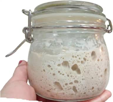 Levain Fermento Natural Desidratado (p/pães, Pizza Panetone)