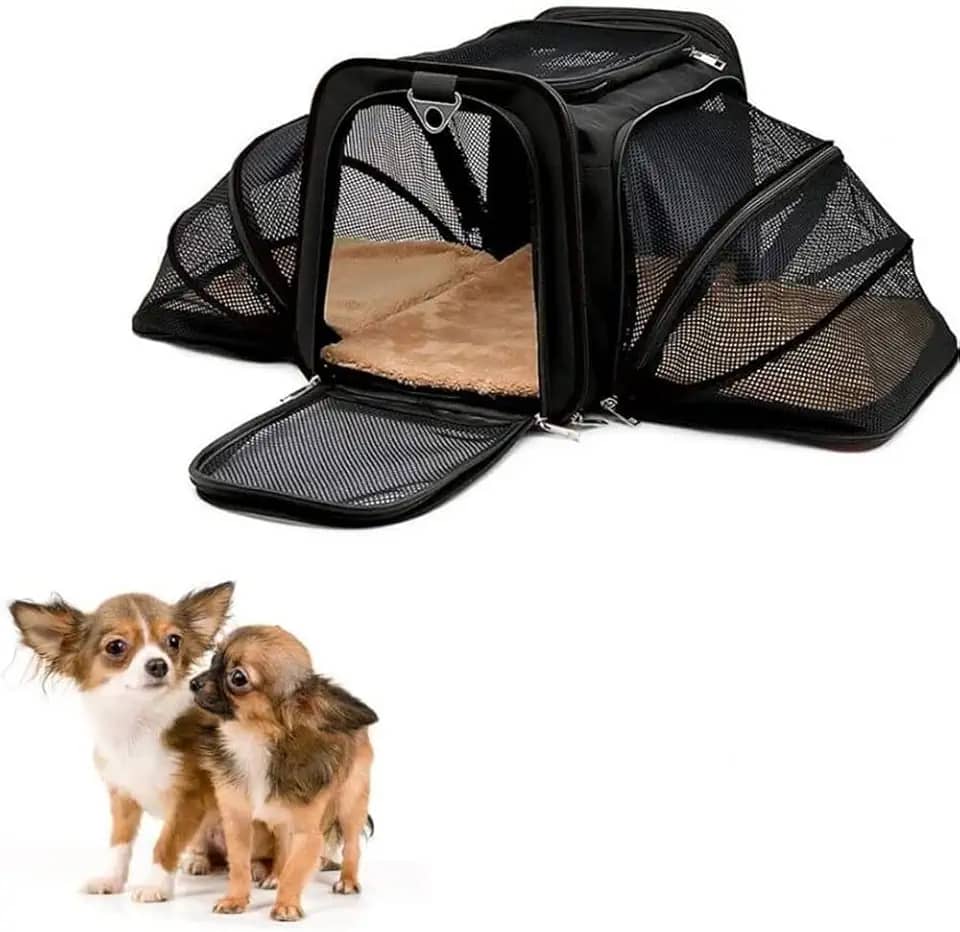 Bolsa Pet Expansível para Transporte em Avião Cães e Gatos Ventilada até 14kg Tela Arejada e Tapete Removível - Duke & Dixie