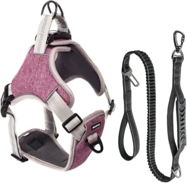 Coleira Peitoral e Guia Antipuxão Pet Cachorro MADOG Comfort (Rosa, G)