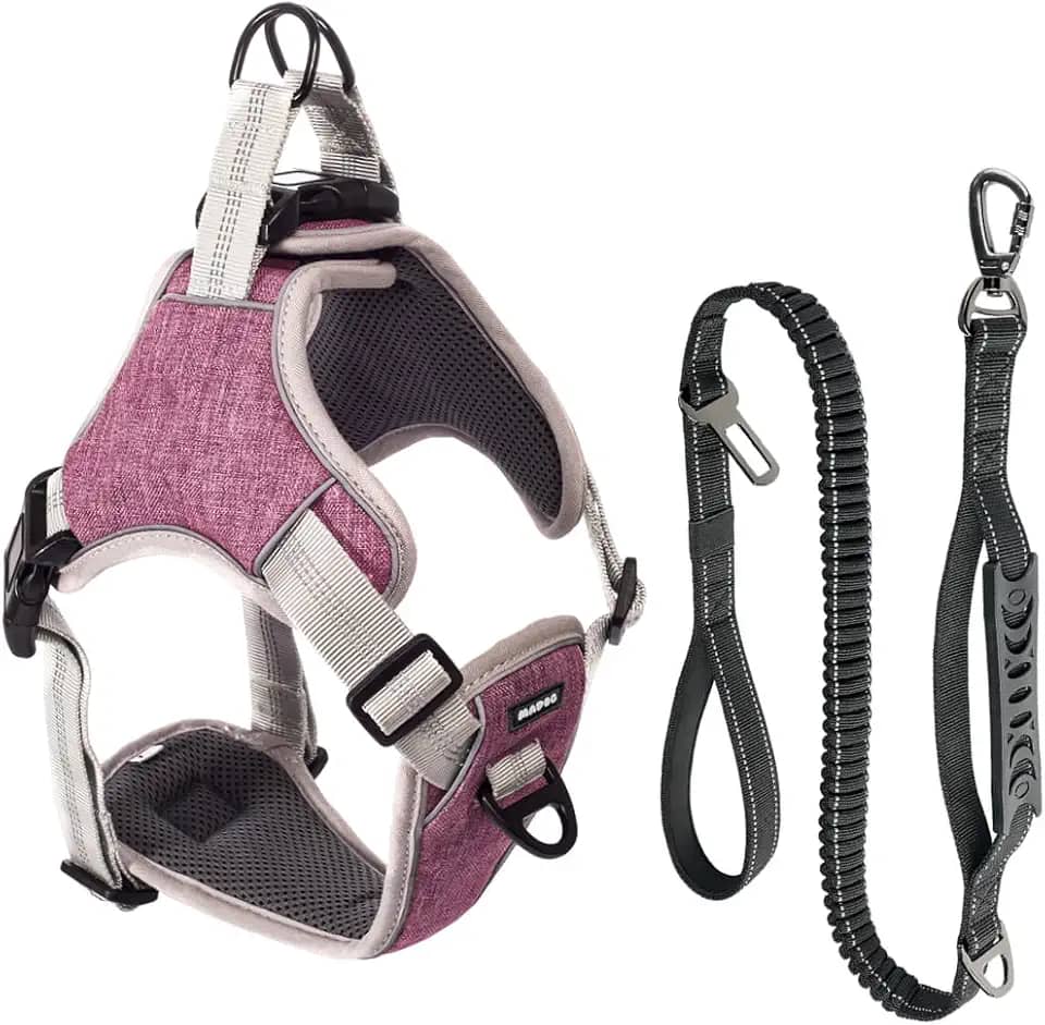 Coleira Peitoral e Guia Antipuxão Pet Cachorro MADOG Comfort (Rosa, G)