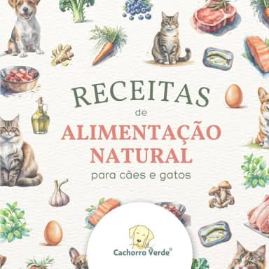 Receitas de Alimentação Natural para cães e gatos (COLORIDO)