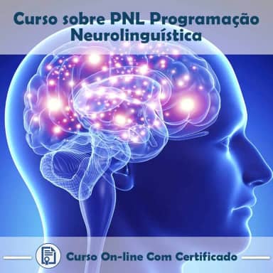Curso online em videoaula sobre PNL - Programação Neurolinguística com Certificado + 2 brindes