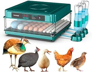 Chocadeira Incubadora Automática Bivolt Para 130 Ovos Certificada Pelo Inmetro Bt-400 Beltempo