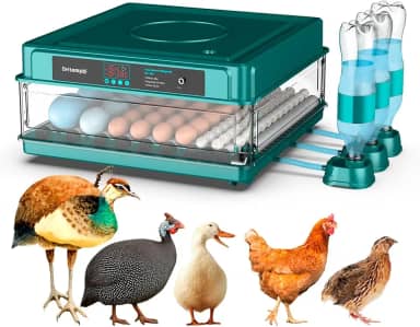 Chocadeira Incubadora Automática Bivolt Para 130 Ovos Certificada Pelo Inmetro Bt-400 Beltempo