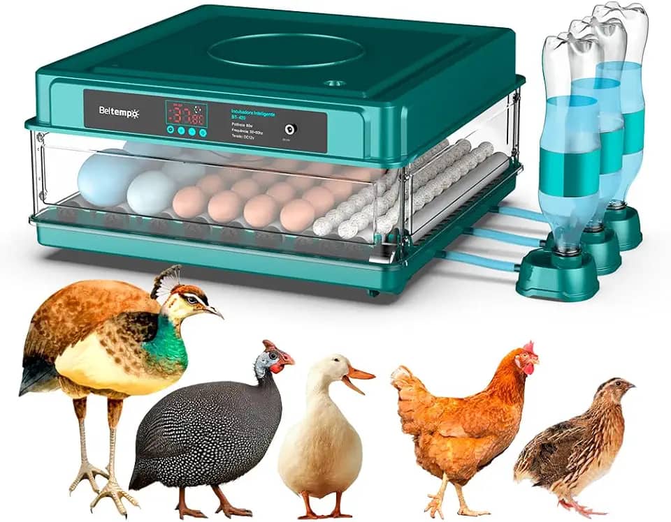 Chocadeira Incubadora Automática Bivolt Para 130 Ovos Certificada Pelo Inmetro Bt-400 Beltempo