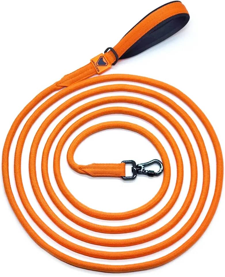 ApoloDog Guia Longa para Cães com Mosquetão, 5 Metros, Alça Neoprene, Múltiplas Cores, Fita Polipropileno Reforçada, para Passeio e Treinamento Adestramento. (LARANJA)