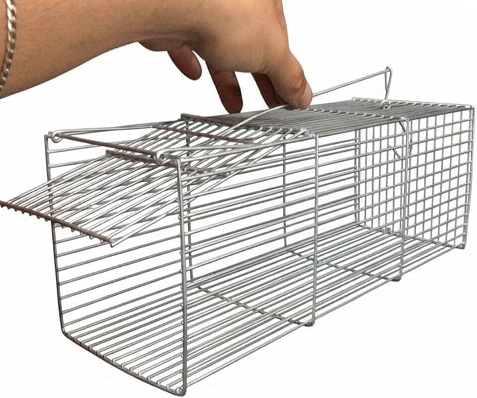 Ratoeira Armadilha Pegar Rato Grande Camundongo Gaiola 30cm Roedores Captura Eficiente Para Controle De Pragas Ambientes Internos E Externos