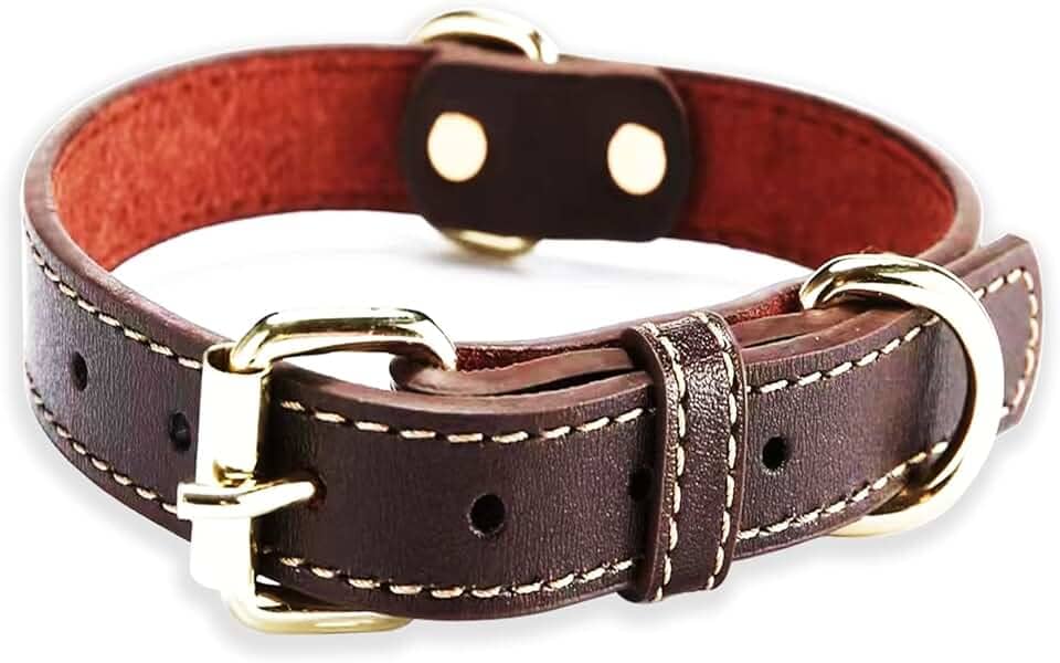 Coleira de couro para cães grandes com visual moderno e elegante - marrom