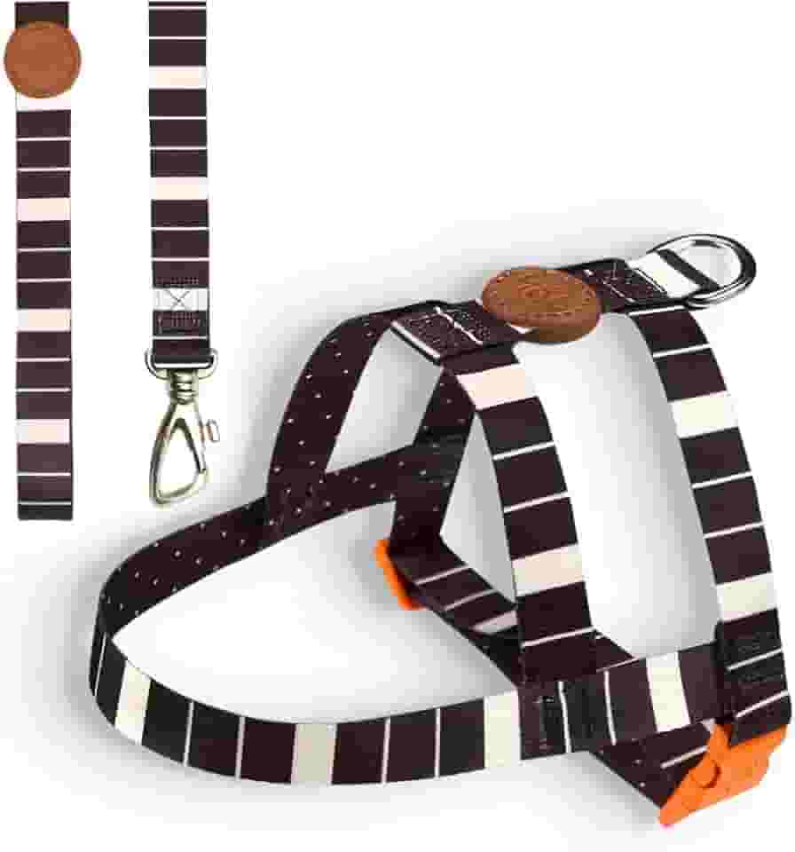 Toh Conjunto Peitoral Tradicional E Guia Eclipse Gg