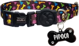 Kit Coleira Com Nome Frente e Verso Gravada Plaquinha de Identificação Plaqueta Personalizada Pingente Para Cachorro Gato Ajustável Ossinhho Colorido (Ossinhos Coloridos, P: Ajustável de 17 a 27cm)