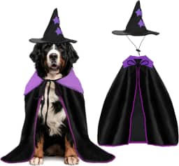 YUEPET Conjunto de fantasia de bruxa extra grande para cães, fantasia de bruxa, capa de bruxa com chapéu, roupa de Dia das Bruxas para cães grandes, Golden Retrieve Great Dane (75 cm)