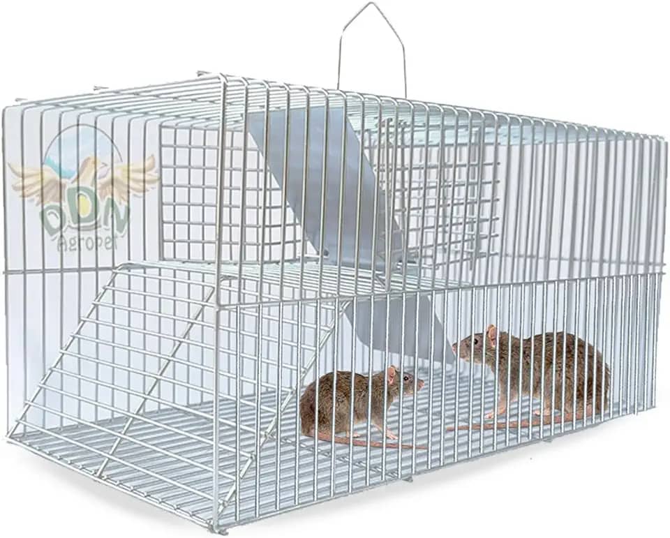 Gaiola Ratoeira Armadilha Pegar Rato Camundongo Fundo Falso