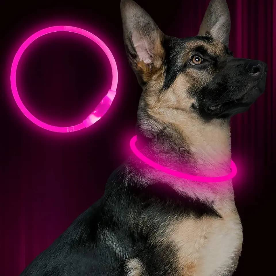 Coleira LED para cães, BSEEN USB, recarregável, para cães, leve, coleira de segurança para animais de estimação faz com que seus amados cães sejam vistos à noite para cães pequenos, médios e grandes