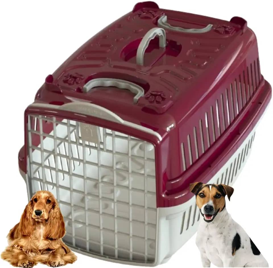 Caixa De Transporte N°4 Para Cachorro Médio Porte Avião Pet Shop Veterinário