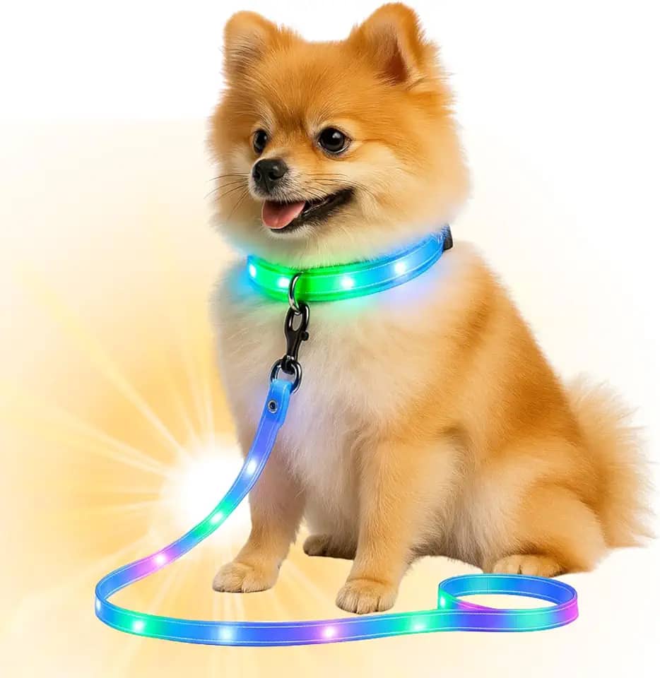 Coleira Led Cachorro Recarregável Usb Ajustável Segurança Noturna Pet Grande Pequeno (Azul)