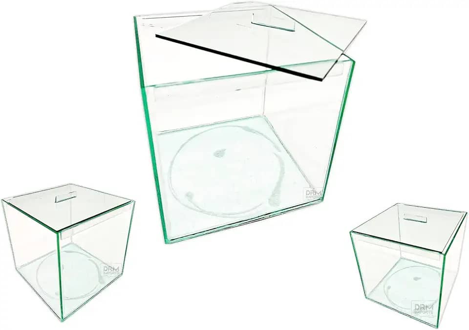 Aquário Quadrado para Peixes Betta, 20x20x20 cm, 6,8 Litros, Vidro