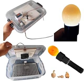 Chocadeira Pet Compacta 127 Volts Com Ovoscopio Cooler Para 30 Ovos De Galinha Ou 90 De Codorna