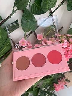 Phállebeauty Paleta De Blush 12G Ph0318 Phallebeauty