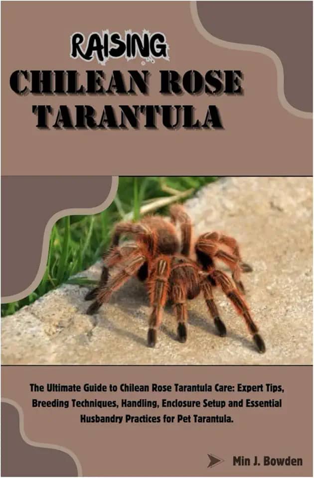 Raising Chilean Rose Tarantula: The Ultimate Guide to Chilean Rose Tarantula Care: Expert Tips, Breeding Techniques, Handling, Enclosure Setup and Essential Husbandry Practices for Pet Tarantula.
