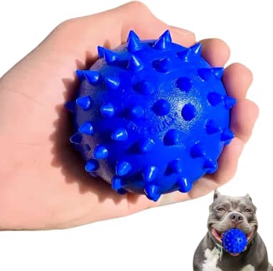 Bola Cravo Big Bull Pula Pula Para Cachorro Médio Porte Petshop 75mm (Azul)