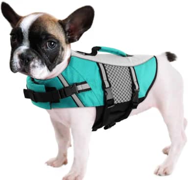 Queenmore Colete salva-vidas para cães, pequeno, médio, neoprene para passeios de barco, colete salva-vidas leve reflexivo para cães e filhotes de cachorro caiaque para buldogue francês, Yorkie