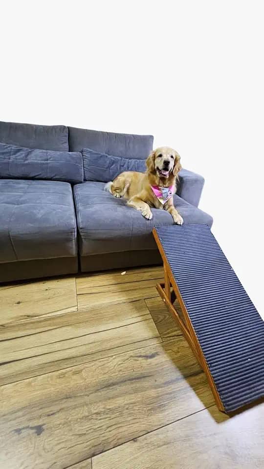 Rampa Pet Com 4 níveis de Regulagem Em Madeira Antiderrapante para Cães e Gatos Porte Pequeno Ao Extra Grande – Suporta até 40kg, Luma Pet - Madeira com Verniz